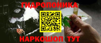 шишки Краснокаменск