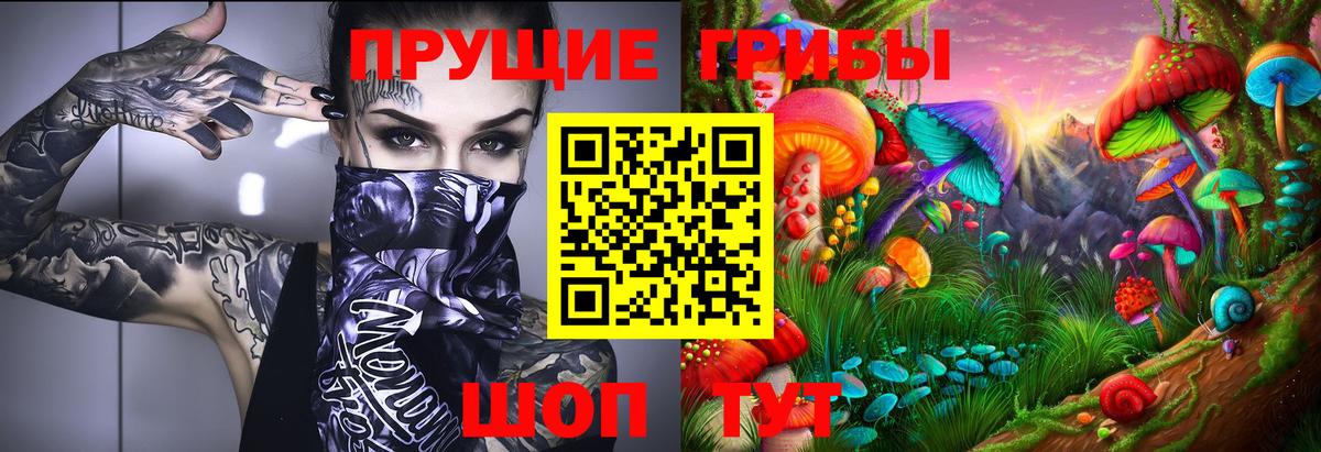 Каменск-Шахтинский  Псилоцибиновые грибы Psilocybine cubensis  Вход с VPN 